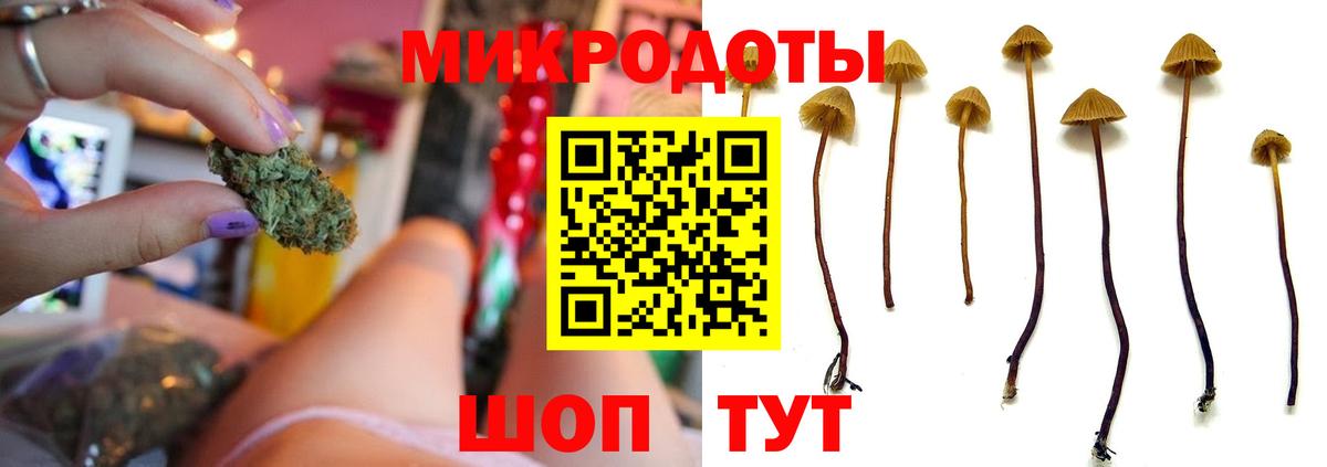 Сокол  Псилоцибиновые грибы GOLDEN TEACHER  Галлюциногенные грибы Psilocybe  Вход с VPN 